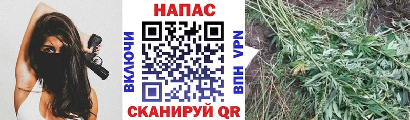 Где купить наркотики Кемь СК  Гашиш  Бошки Шишки 