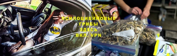 индика Белоозёрский
