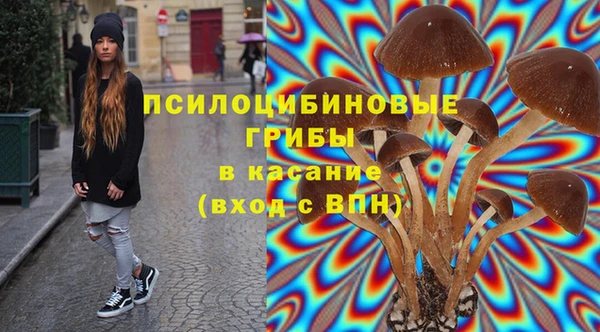 jwh Шали