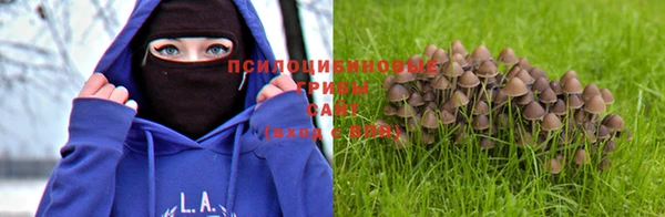 индика Белоозёрский